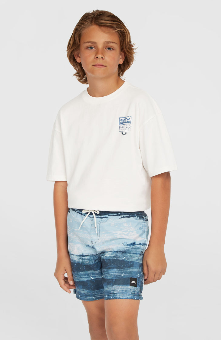 Cali Gradient 14'' Badehose | Blue Melted Stripe Boys