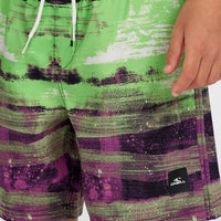 Cali Gradient 14'' Badehose | Black Melted Stripe Boys