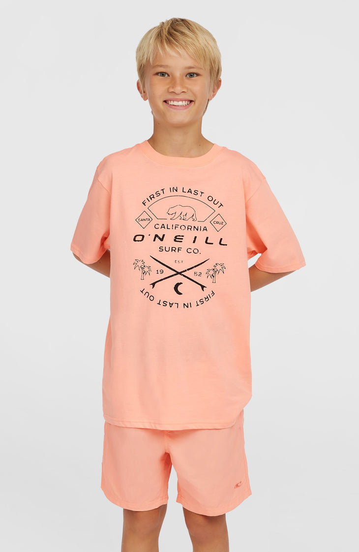 Vert 14'' Badehose | Coral Pop