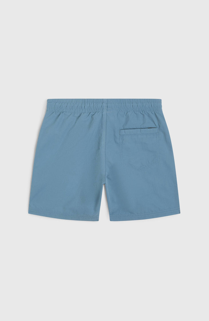 Vert 14'' Badehose | Copen Blue