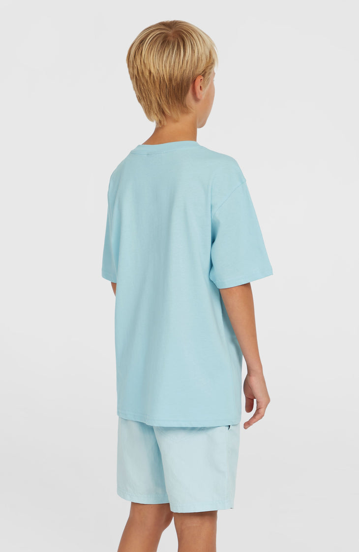 Vert 14'' Badehose | Morning Glory