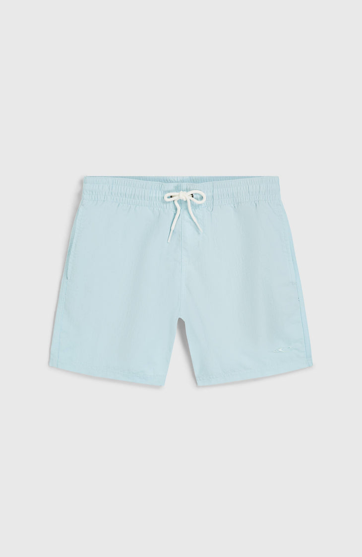 Vert 14'' Badehose | Morning Glory