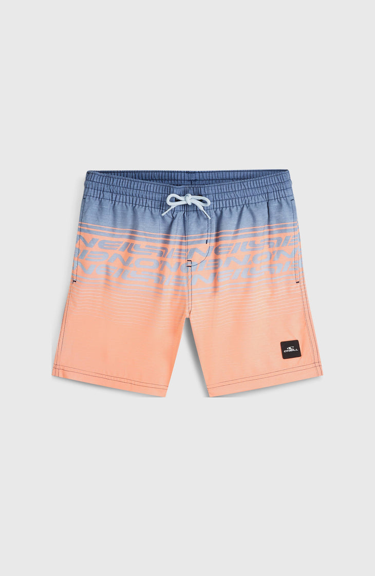 O'Neill Logo Stripe Badehose | Boys Purple Heritage O'Neill