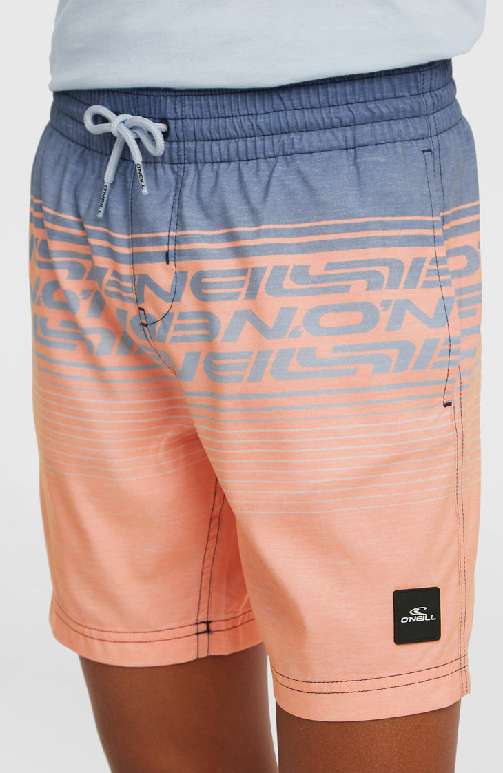 O'Neill Logo Stripe Badehose | Boys Purple Heritage O'Neill