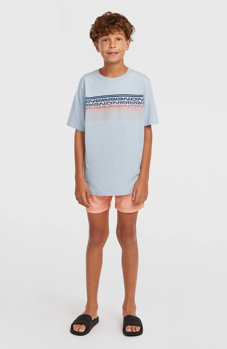 O'Neill Logo Stripe Badehose | Boys Purple Heritage O'Neill