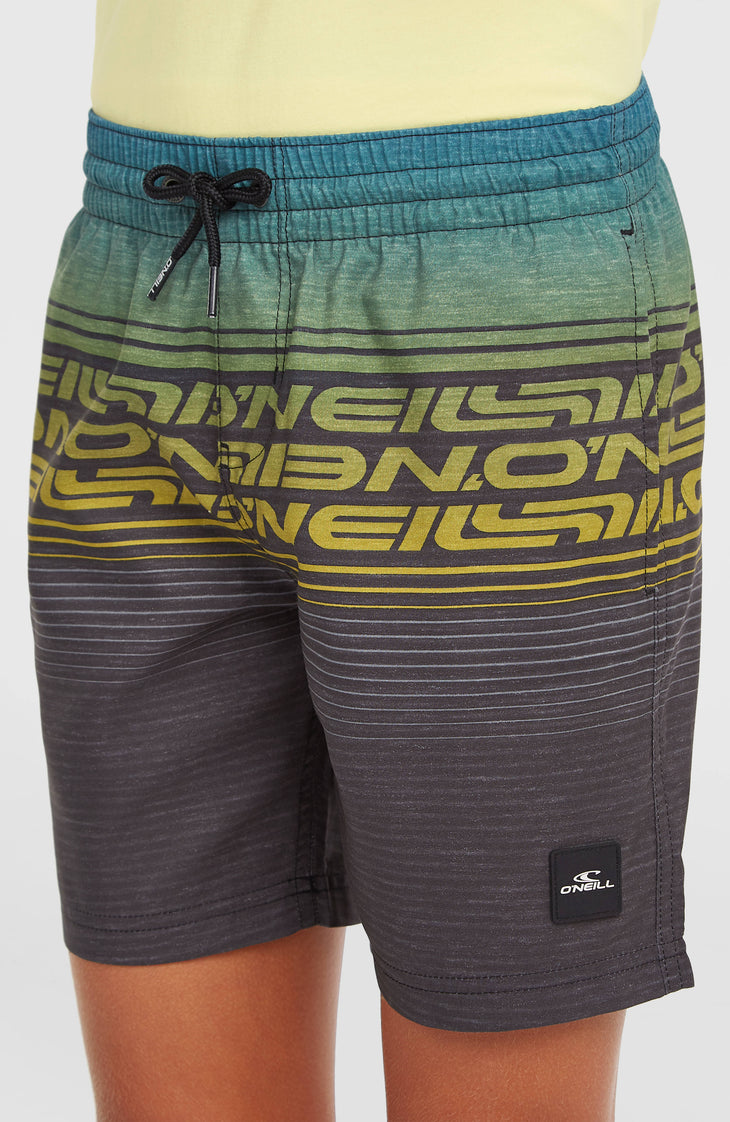 O'Neill Logo Stripe Badehose | Boys Blue Heritage O'Neill