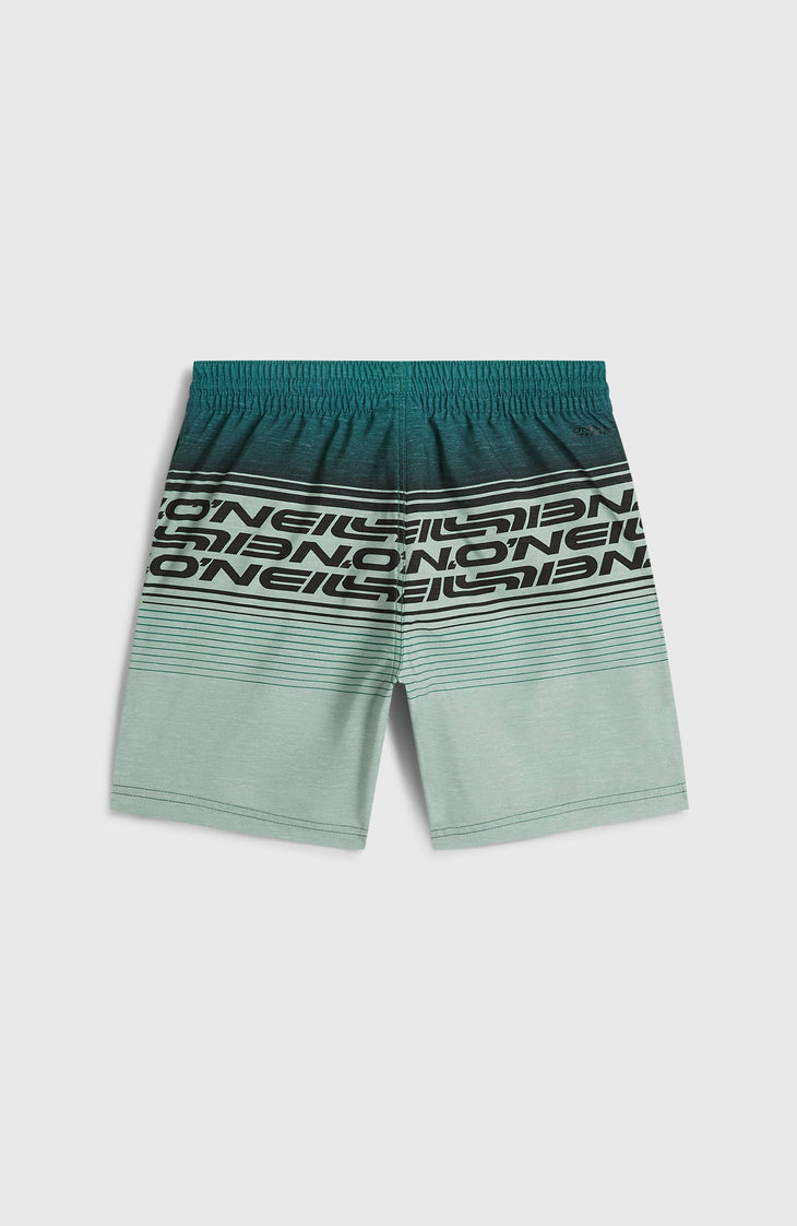 O'Neill Logo Stripe Badehose | Boys Green Heritage O'Neill