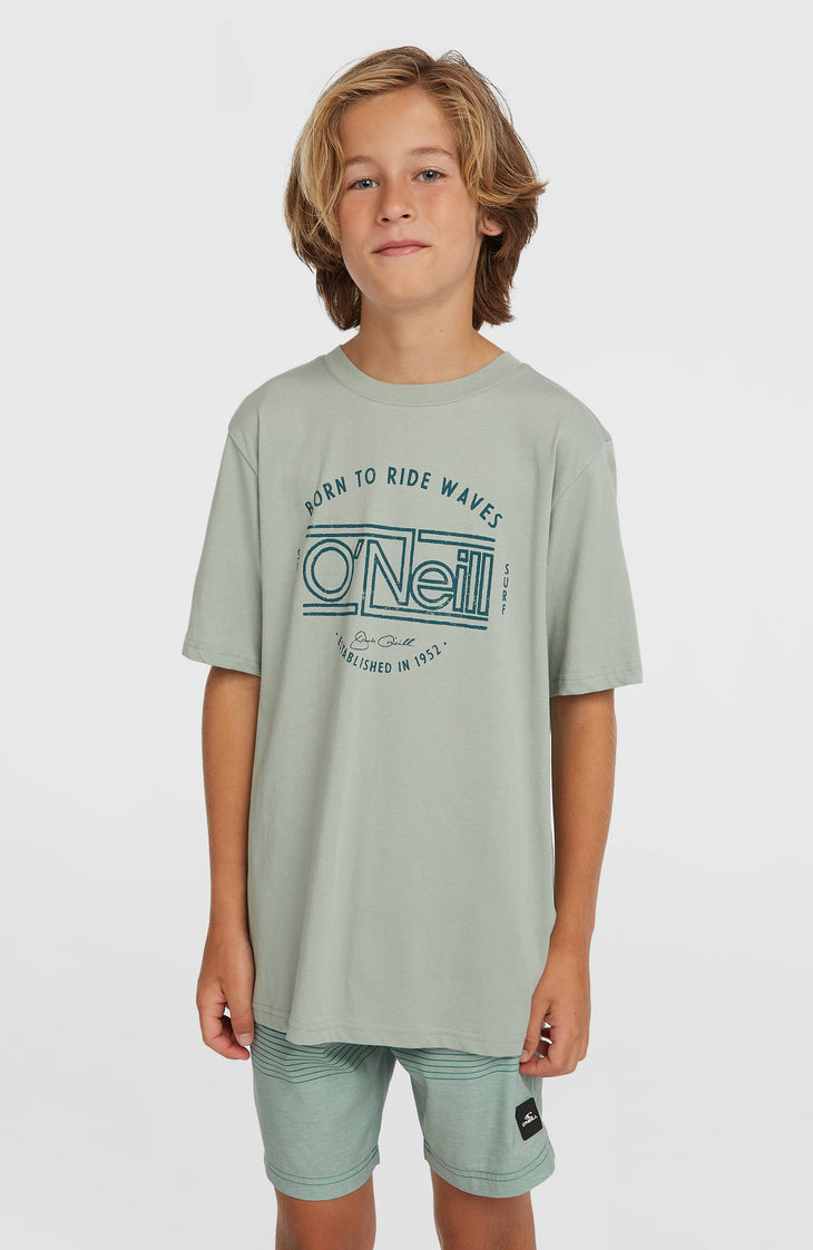 O'Neill Logo Stripe Badehose | Boys Green Heritage O'Neill