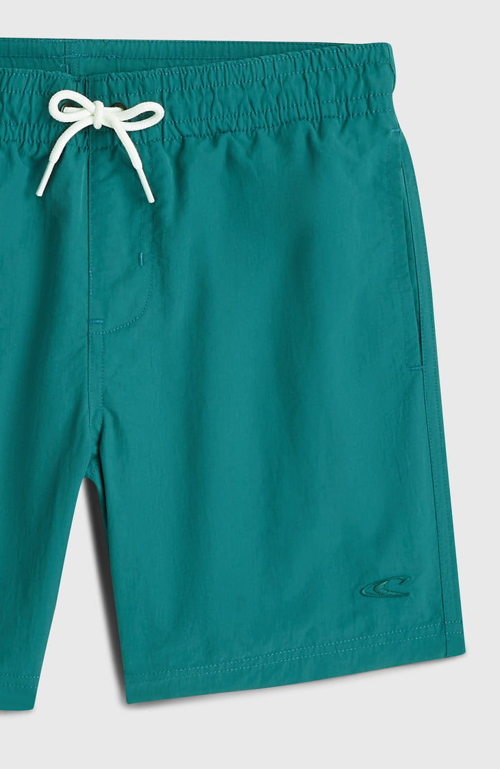 O'Neill Vert Badehose | Botanical Heat