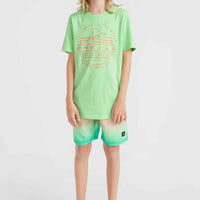 Jack O'Neill Muir T-Shirt | Neon Green