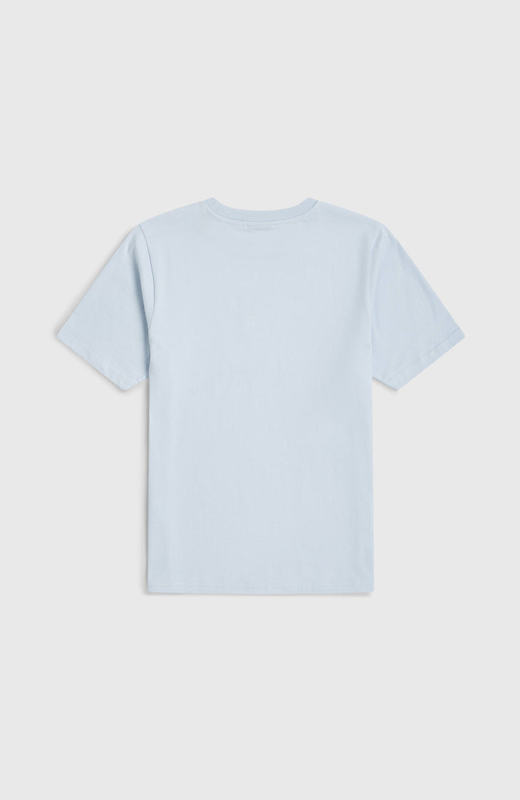 O'Neill Logo Stripe T-Shirt | Spindle