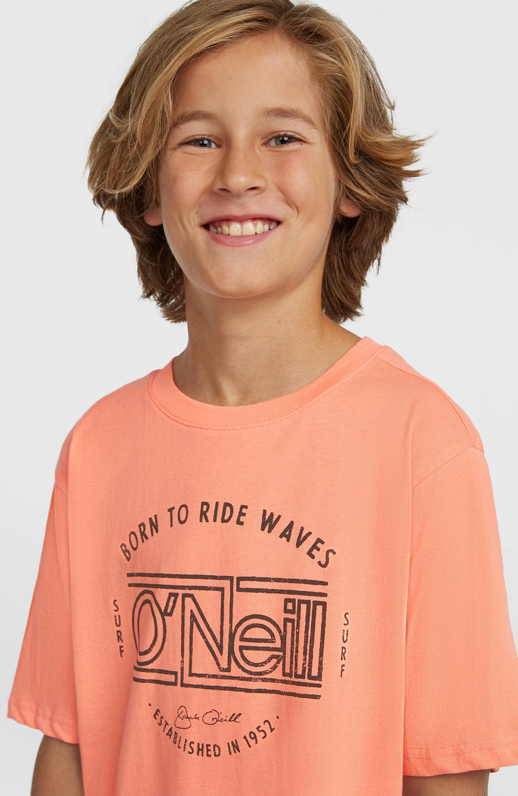 O'Neill Muir T-Shirt | Funky Peach