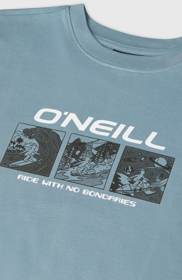 O'Neill Graphic T-Shirt | Murky Water