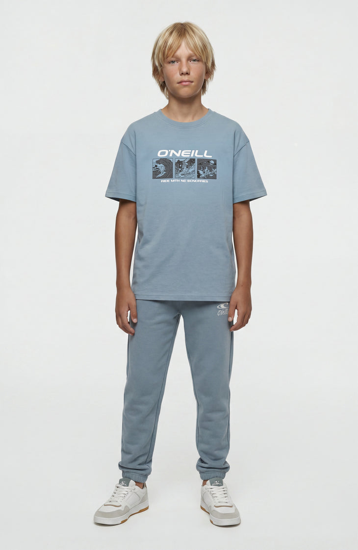 O'Neill Graphic T-Shirt | Murky Water