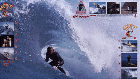 Der Animal Neoprenanzug