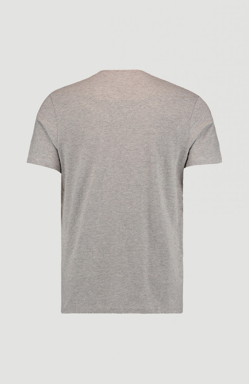 O'Neill T-Shirt | Silver Melee -A