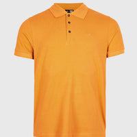 O'Neill Poloshirt mit kleinem Logo | Nugget