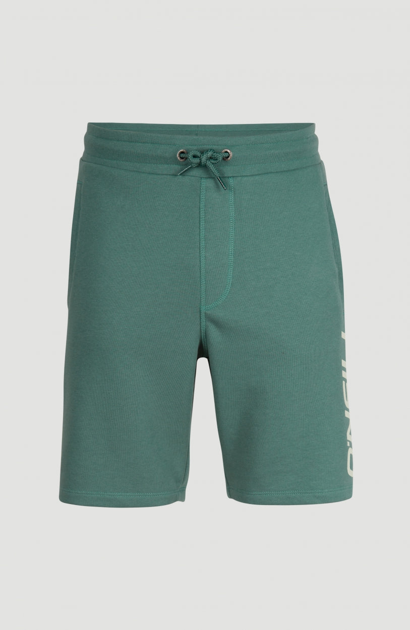 O'Neill Logo Sweatshorts | Sea Pine