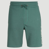 O'Neill Logo Sweatshorts | Sea Pine