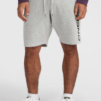 O'Neill Logo Sweatshorts | Silver Melee -A