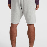 O'Neill Logo Sweatshorts | Silver Melee -A