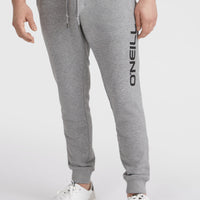 O'Neill Logo Jogginghose | Silver Melee -A