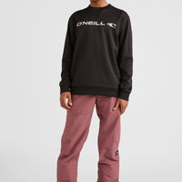 Hammer Regular Skihose | Nocturne