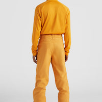 Hammer Regular Skihose | Nugget