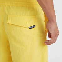 Vert 16'' Badehose | Dandelion