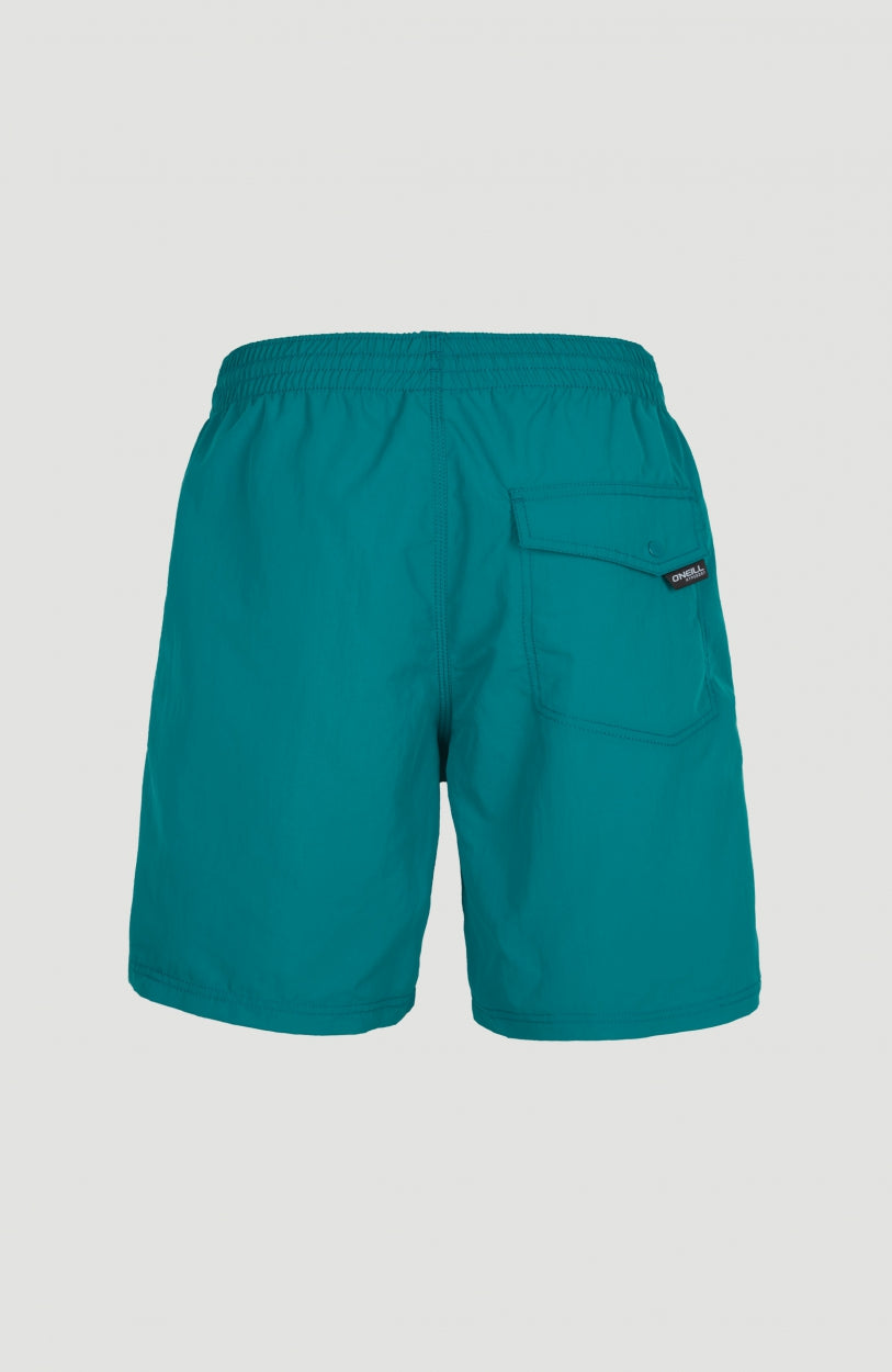 Vert 16'' Badehose | Blue Coral