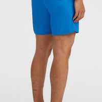 Vert 16'' Badehose | Victoria Blue