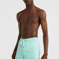 Vert 16'' Badehose | Beach Glass