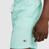 Vert 16'' Badehose | Beach Glass