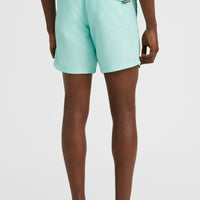 Vert 16'' Badehose | Beach Glass