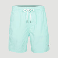 Vert 16'' Badehose | Beach Glass