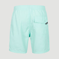 Vert 16'' Badehose | Beach Glass