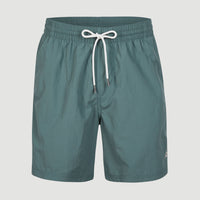 Vert 16'' Badehose | North Atlantic