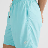 Vert 16'' Badehose | Aqua Spalsh