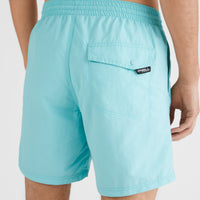 Vert 16'' Badehose | Aqua Spalsh