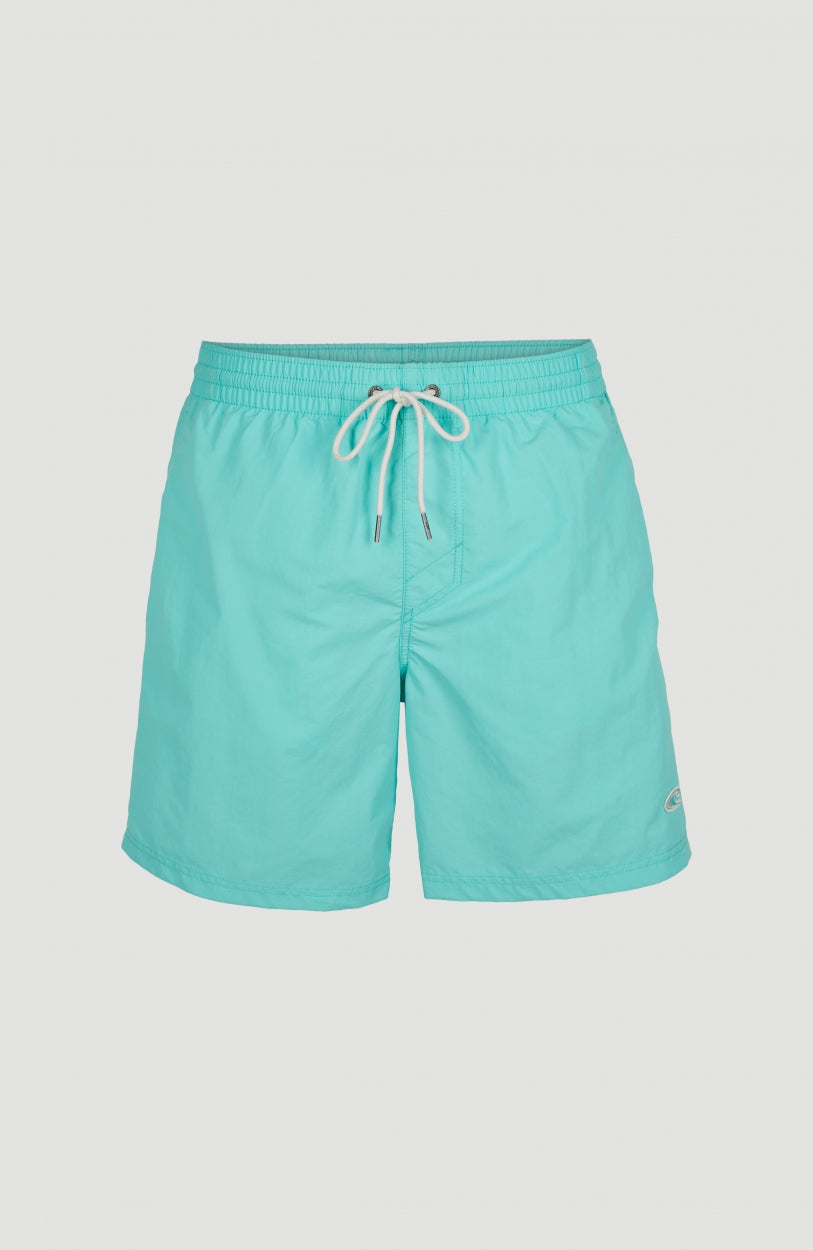Vert 16'' Badehose | Aqua Spalsh