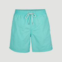 Vert 16'' Badehose | Aqua Spalsh