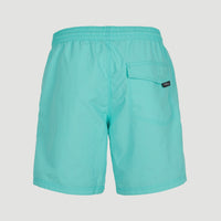 Vert 16'' Badehose | Aqua Spalsh