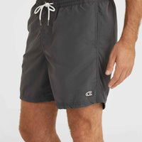 Vert 16'' Badehose | Asphalt