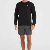 Vert 16'' Badehose | Asphalt