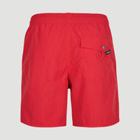 Vert 16'' Badehose | Plaid