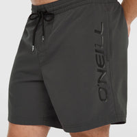 Cali 16'' Badehose | Asphalt