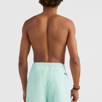 Original Cali 16'' Badehose | Beach Glass