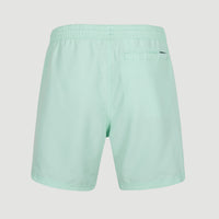 Original Cali 16'' Badehose | Beach Glass