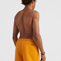 Original Cali 16'' Badehose | Nugget