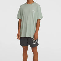 Original Cali 16'' Badehose | Asphalt